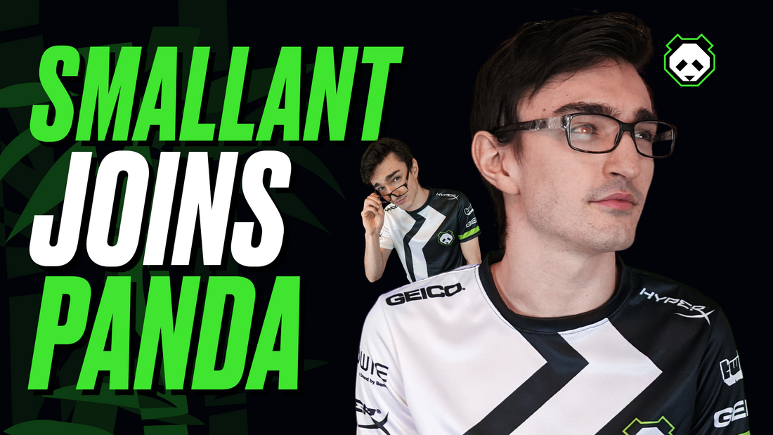 Panda Welcomes SmallAnt to the Team!